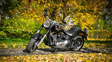 206 ANDOVER, NJ 07821; Quick Links. . Free motorcycles